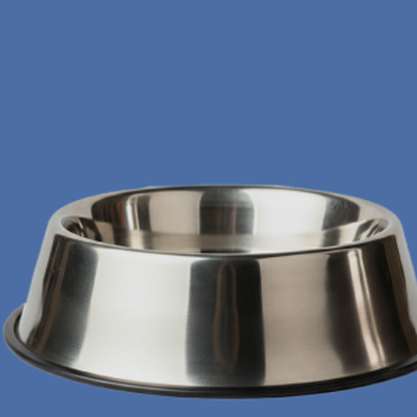 Dog supplies