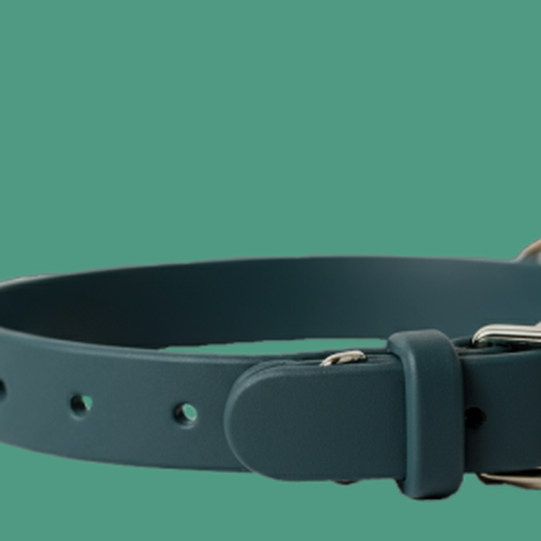 Pet collars & harnesses
