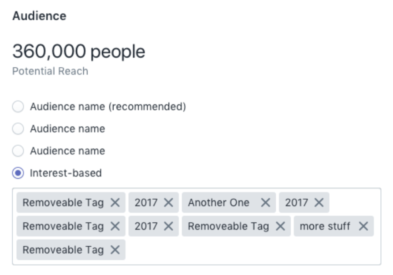 An example of the Audience section of the marketing activity form.