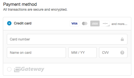 Example gateway logo in a store checkout