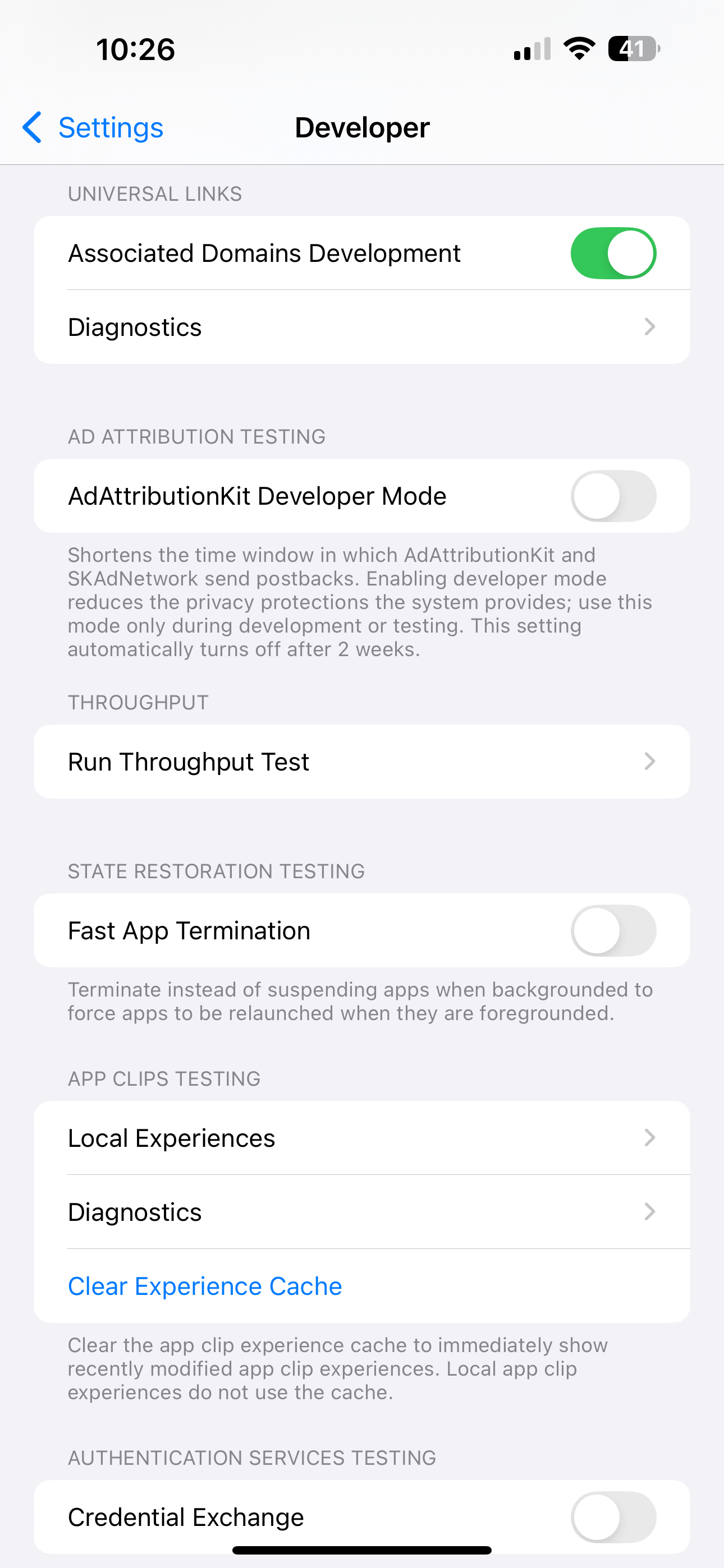 iOS Settings showing the Developer section.