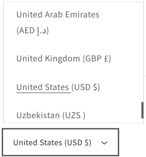 Example of country and currency selector display